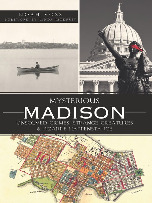 Title details for Mysterious Madison by Noah Voss - Wait list